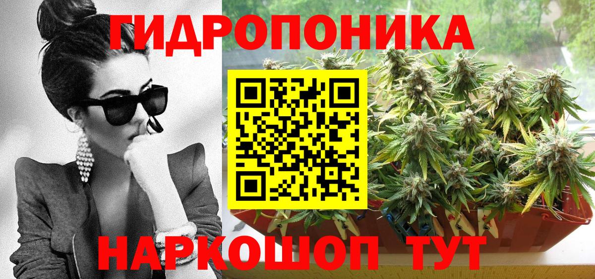 Бошки Шишки Amnesia Фурманов